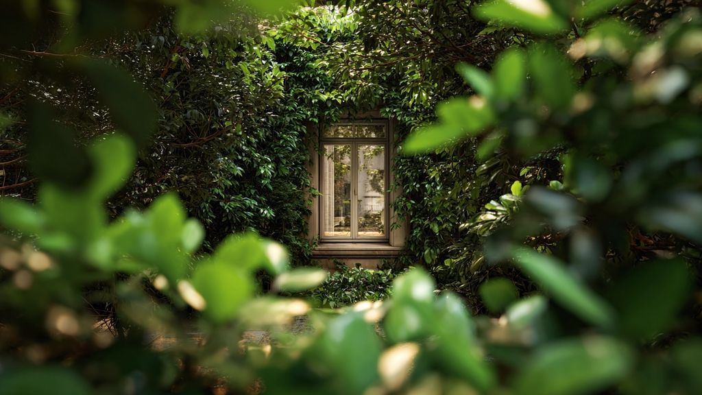 Qu’est-ce qu’une servitude de vue et comment l’obtenir lde plus